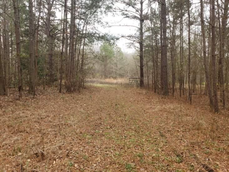 Greenville, Butler County, AL for sale Property ID 415994312 LandWatch