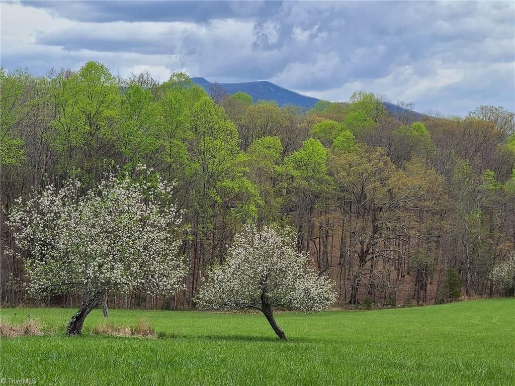 Lowgap, Surry County, NC Farms and Ranches, Homesites for sale Property