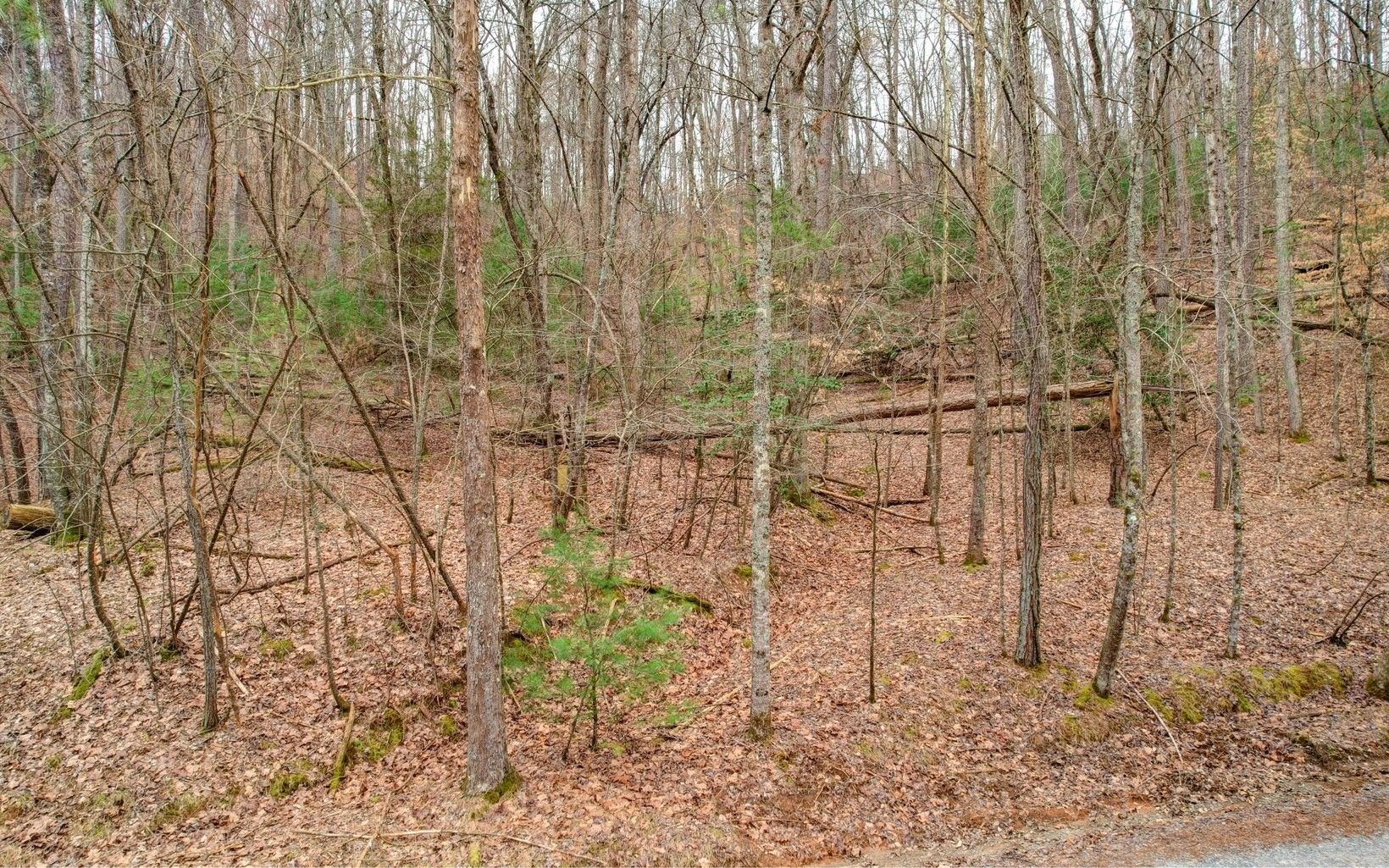 Ellijay, Gilmer County, GA Homesites for sale Property ID 415995304