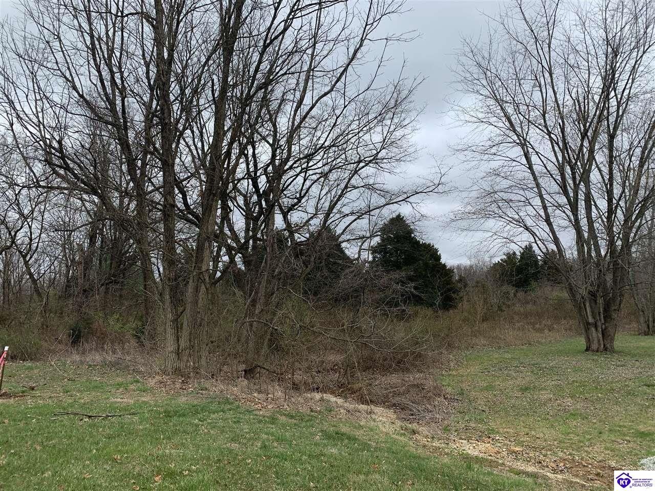 Vine Grove, Meade County, KY Undeveloped Land, Lakefront Property, Waterfront Property