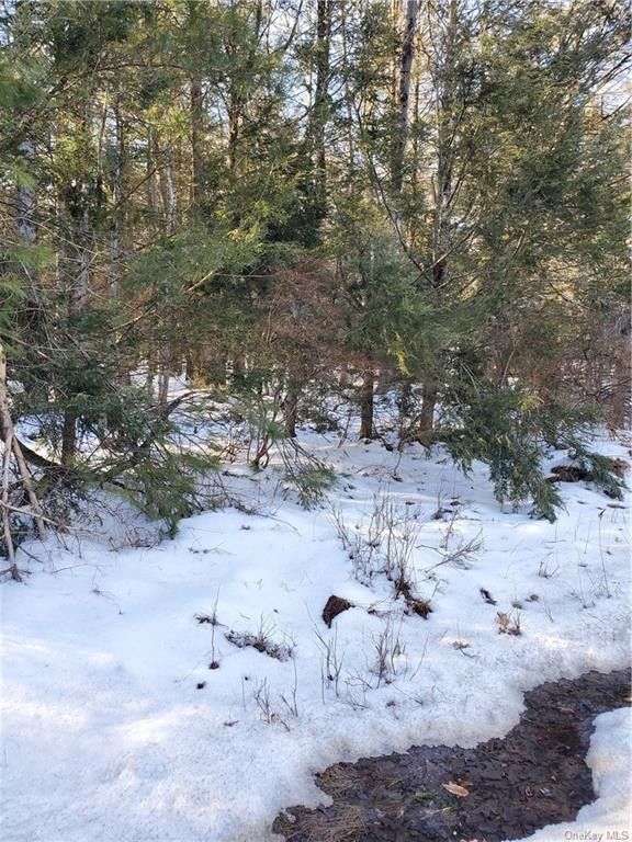 Wawarsing, Ulster County, NY Undeveloped Land for sale Property ID