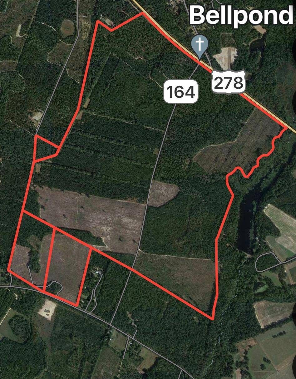 Barnwell, Barnwell County, SC Undeveloped Land for sale Property ID