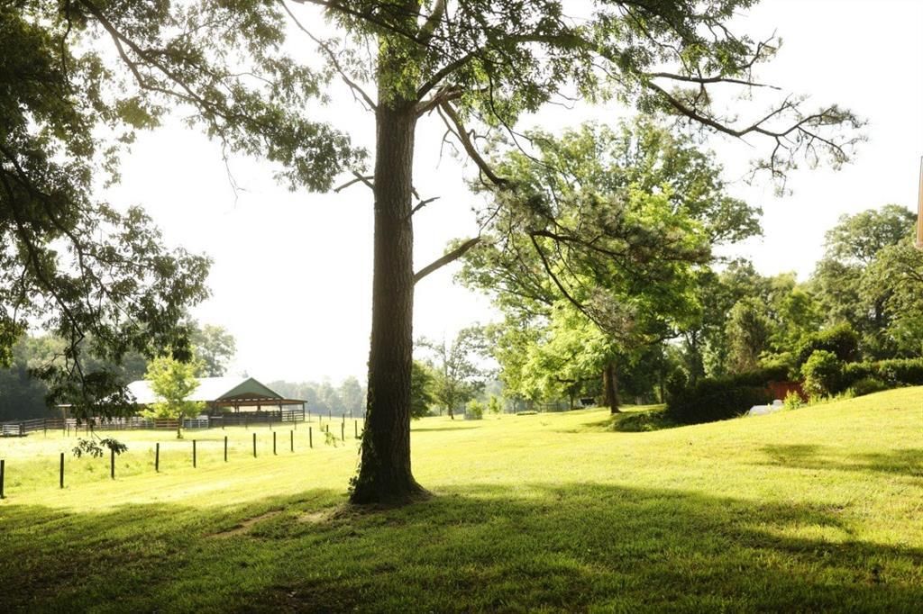 Dawsonville, Fulton County, GA Recreational Property, Timberland