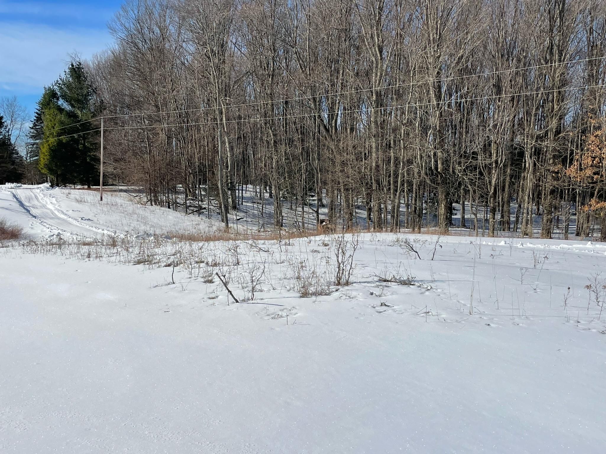 Le Roy, Osceola County, MI Recreational Property, Undeveloped Land