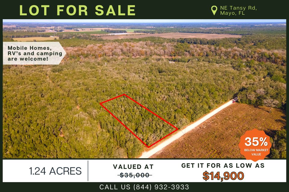 Mayo, Lafayette County, FL Recreational Property, Undeveloped Land
