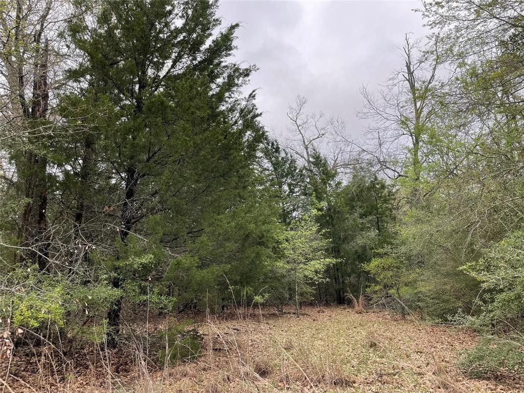 Jewett, Leon County, TX Undeveloped Land for sale Property ID