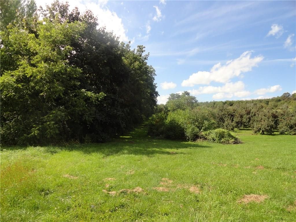 Marion, Wayne County, NY Undeveloped Land for sale Property ID 416000815 LandWatch