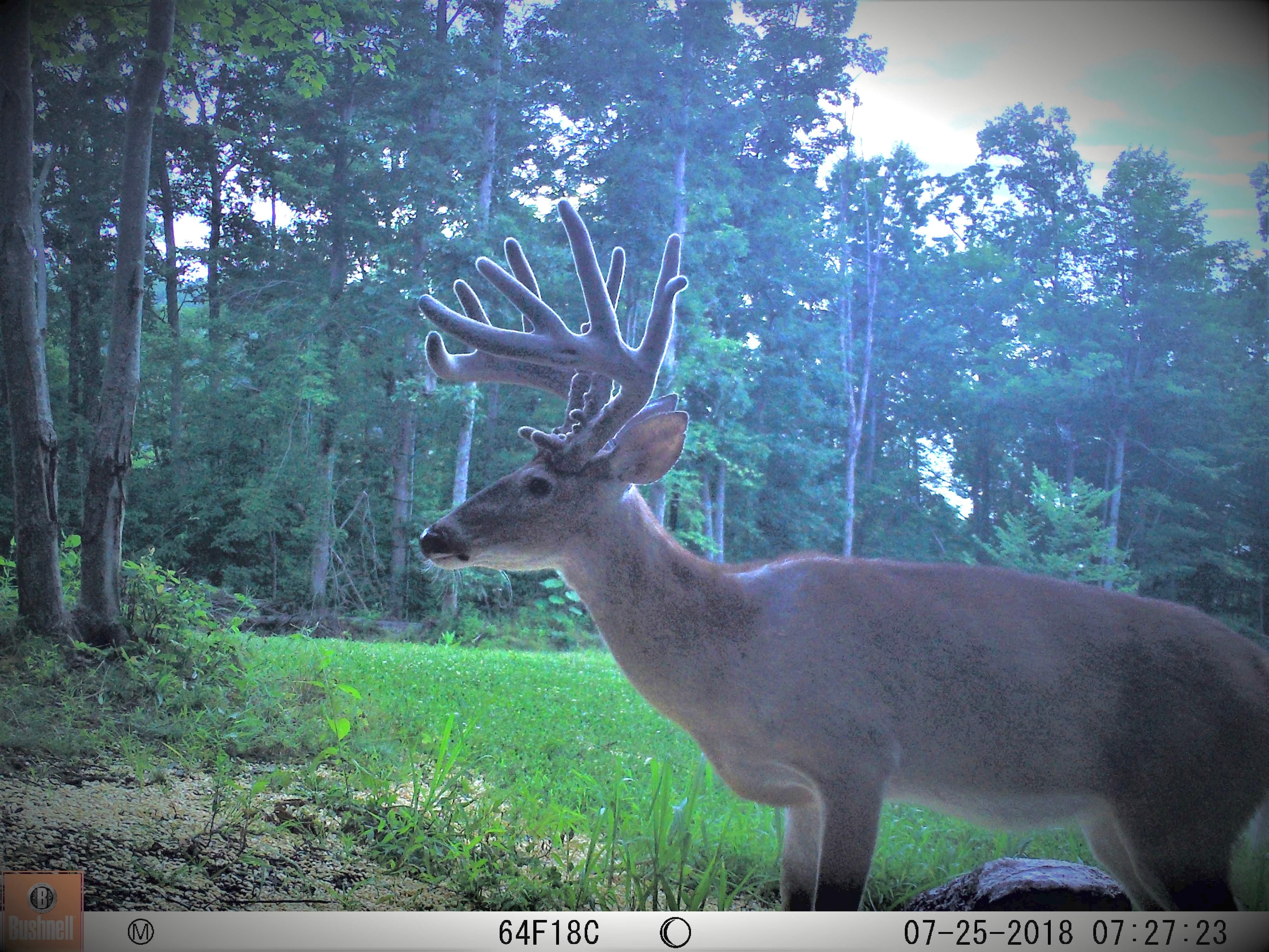 Otway, Scioto County, OH Recreational Property, Hunting Property for