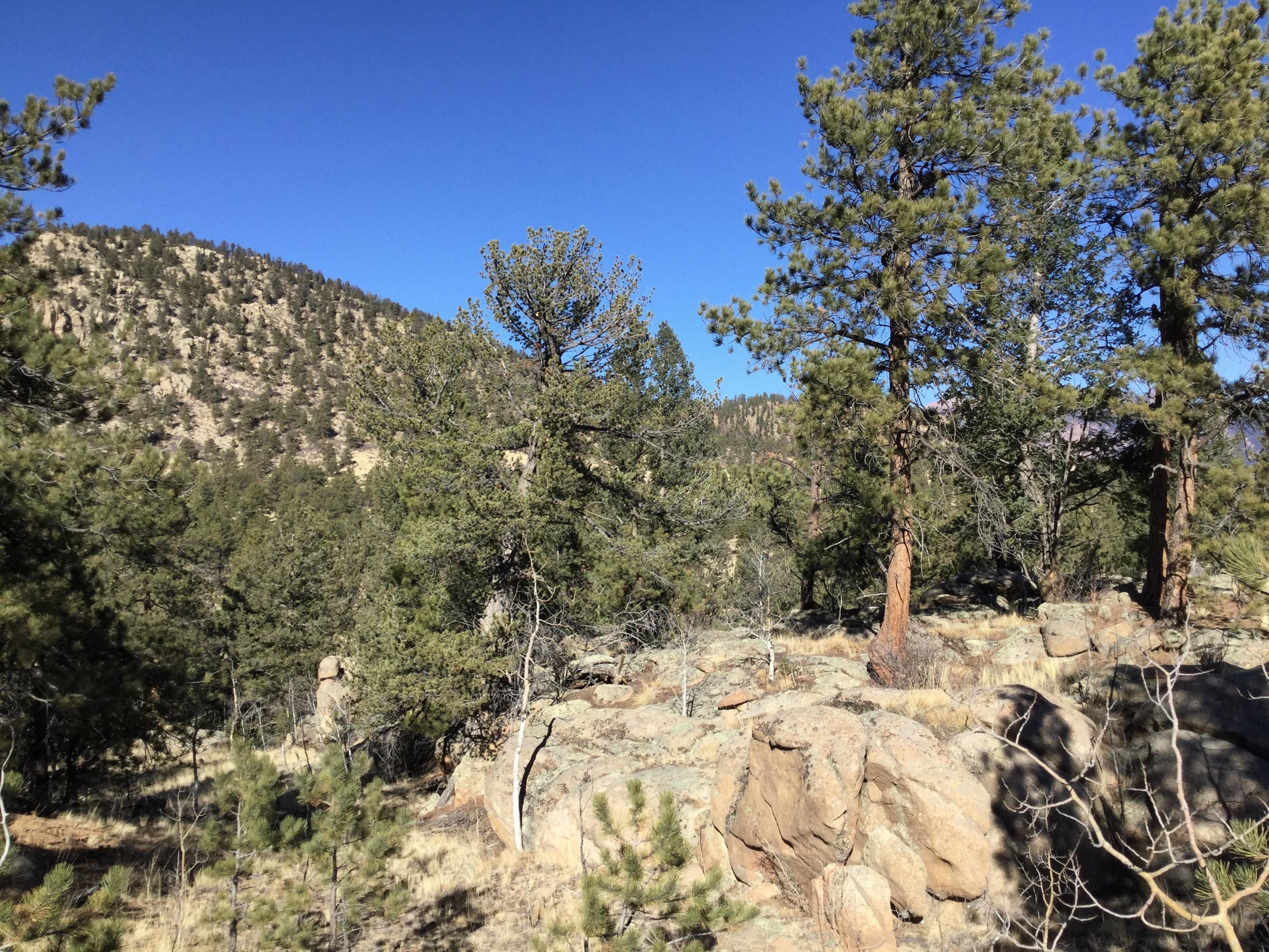 County Road 175, Salida, CO 81201 MLS Exclusive LandWatch