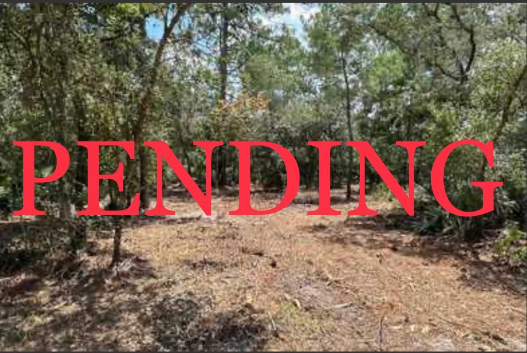 Pomona Park, Putnam County, FL Recreational Property, Undeveloped Land