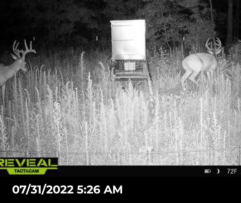 232 acres in Culloden, GA, 31016 LandWatch