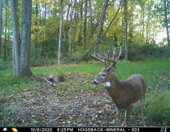 Steuben, Crawford County, WI Recreational Property, Timberland Property