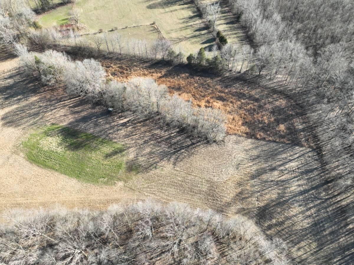 Jackson, Carroll County, TN Farms and Ranches, Hunting Property for