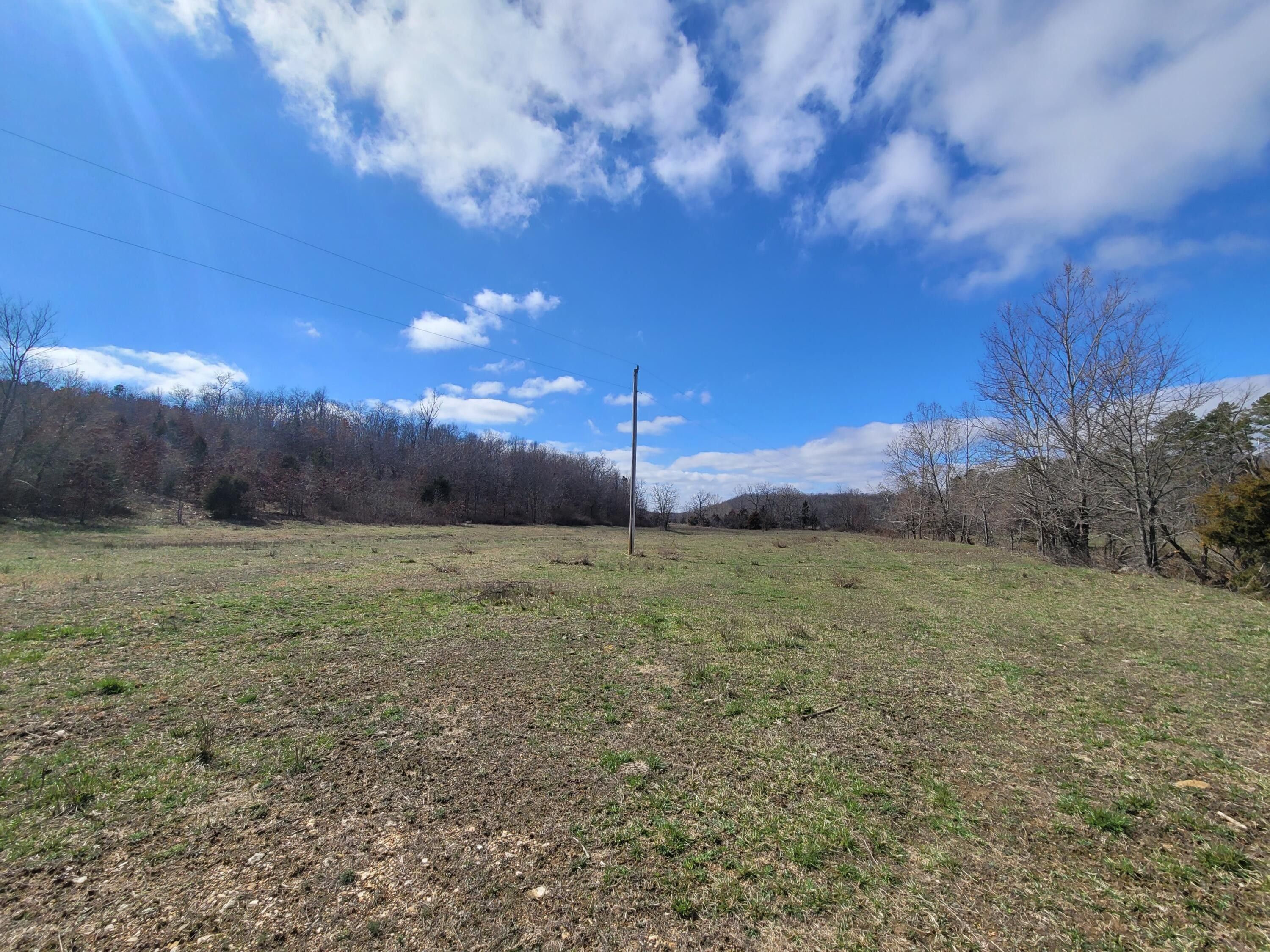 Cabool, Texas County, MO Farms and Ranches for sale Property ID