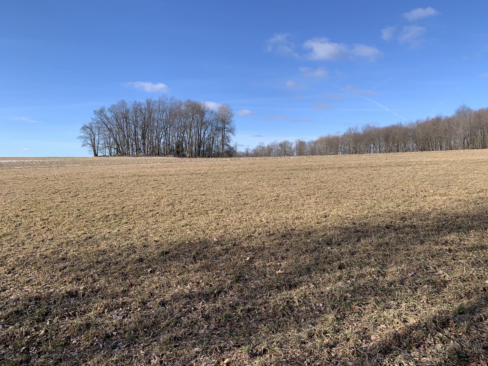 Cooperstown, Venango County, PA Undeveloped Land for sale Property ID