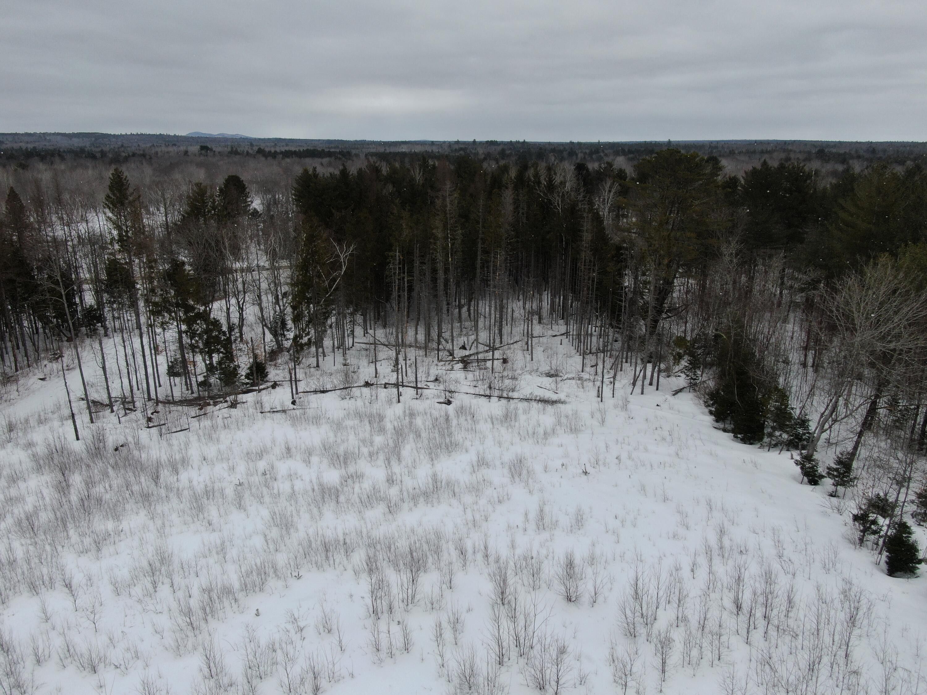Maxfield, Penobscot County, ME Undeveloped Land, Lakefront Property