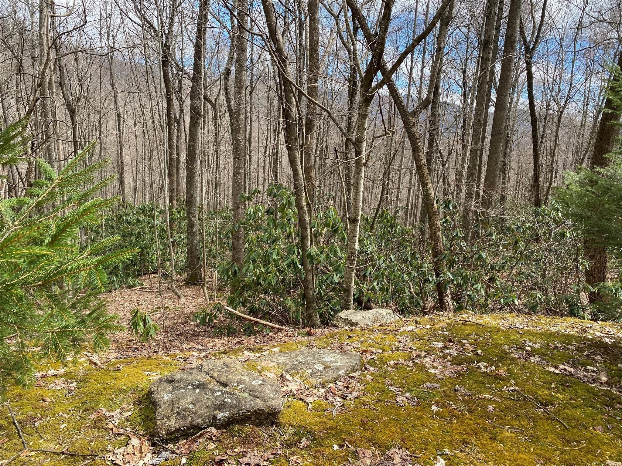 Black Mountain, County, NC Undeveloped Land, Homesites for