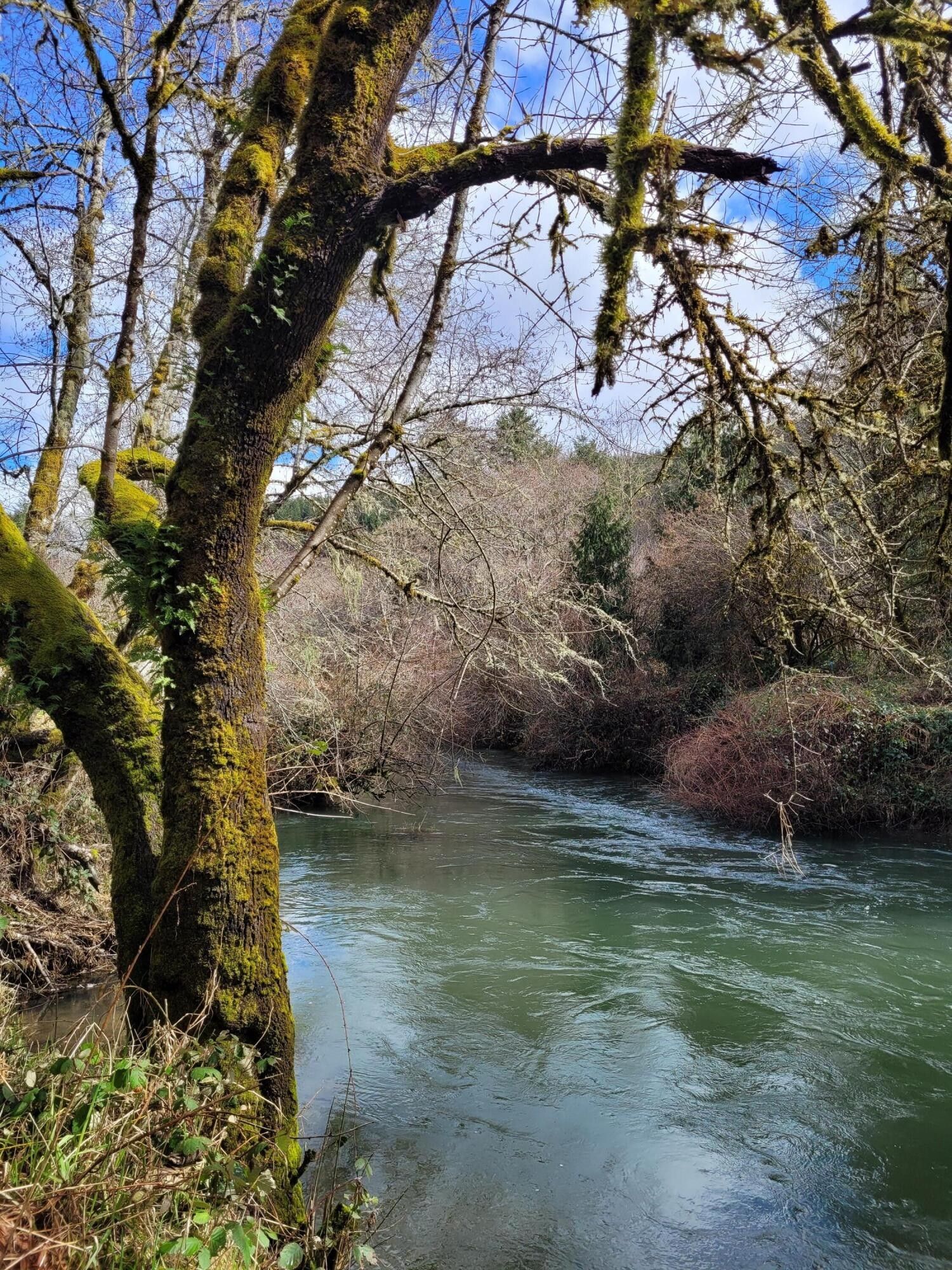 Eddyville, Lincoln County, OR Undeveloped Land, Lakefront Property, Waterfront Property