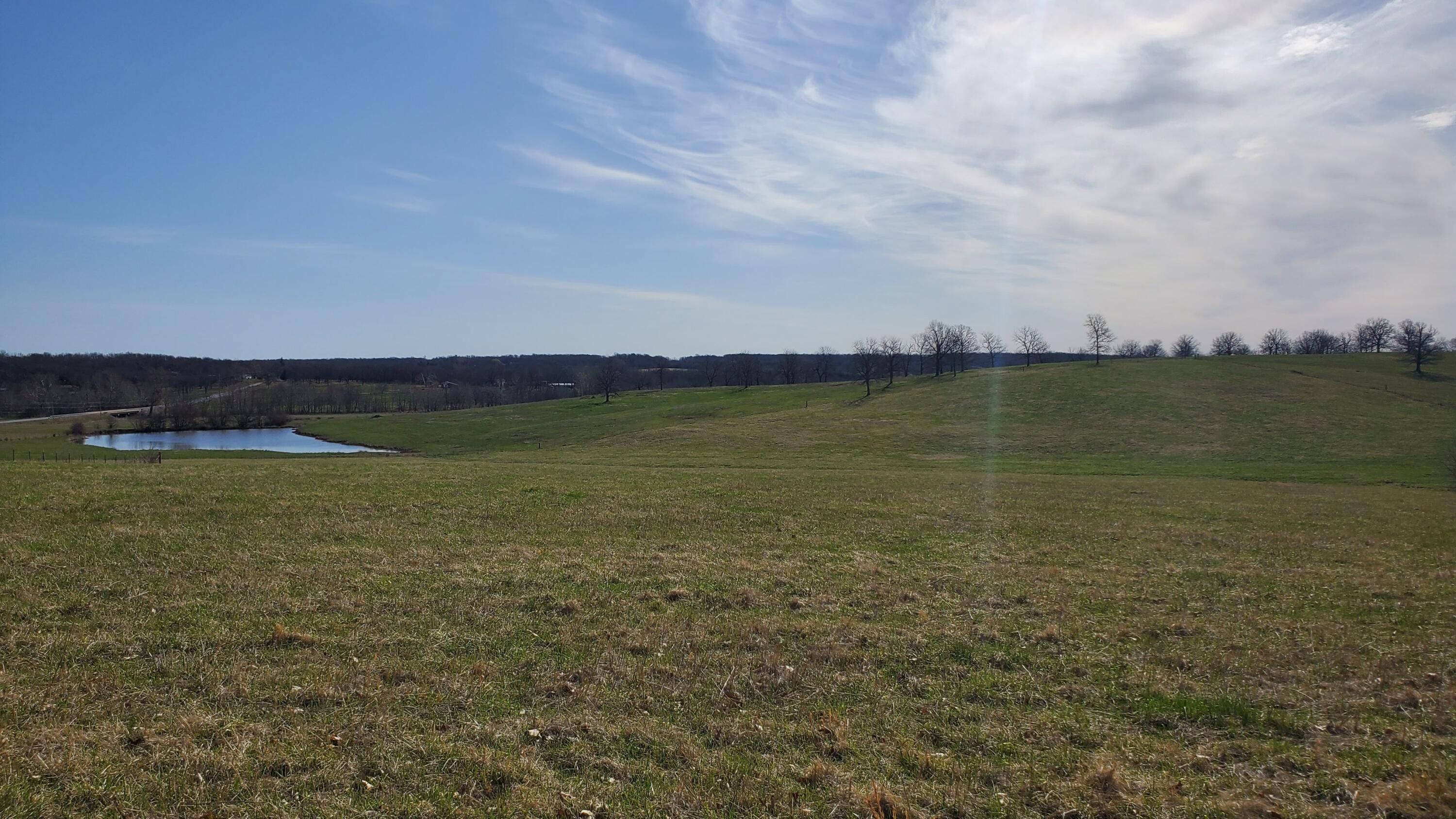 Lot 2 North Farm Road 61, Walnut Grove, MO 65770 MLS 60238234