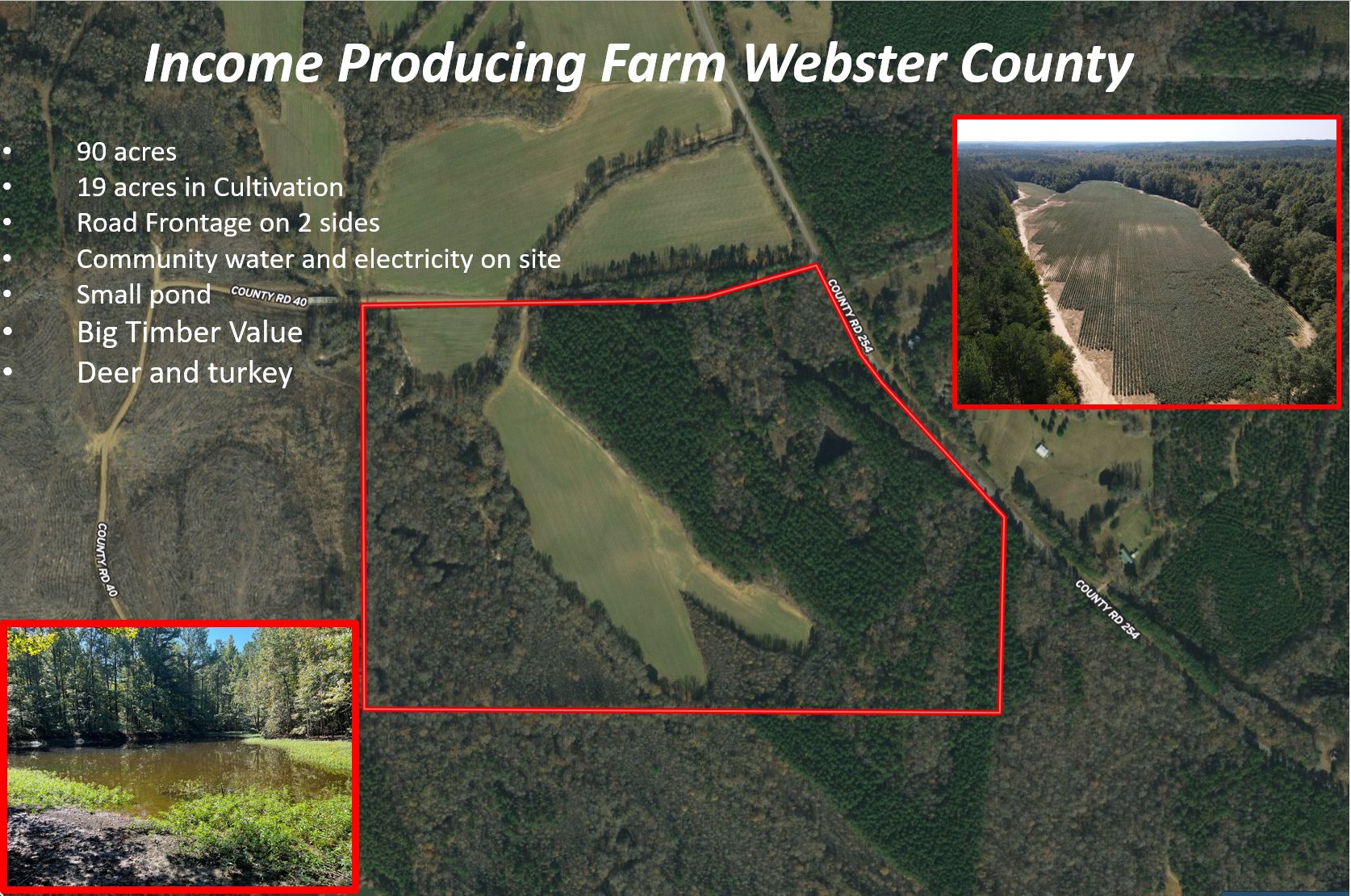 Eupora, ster County, MS Farms and Ranches, Timberland Property
