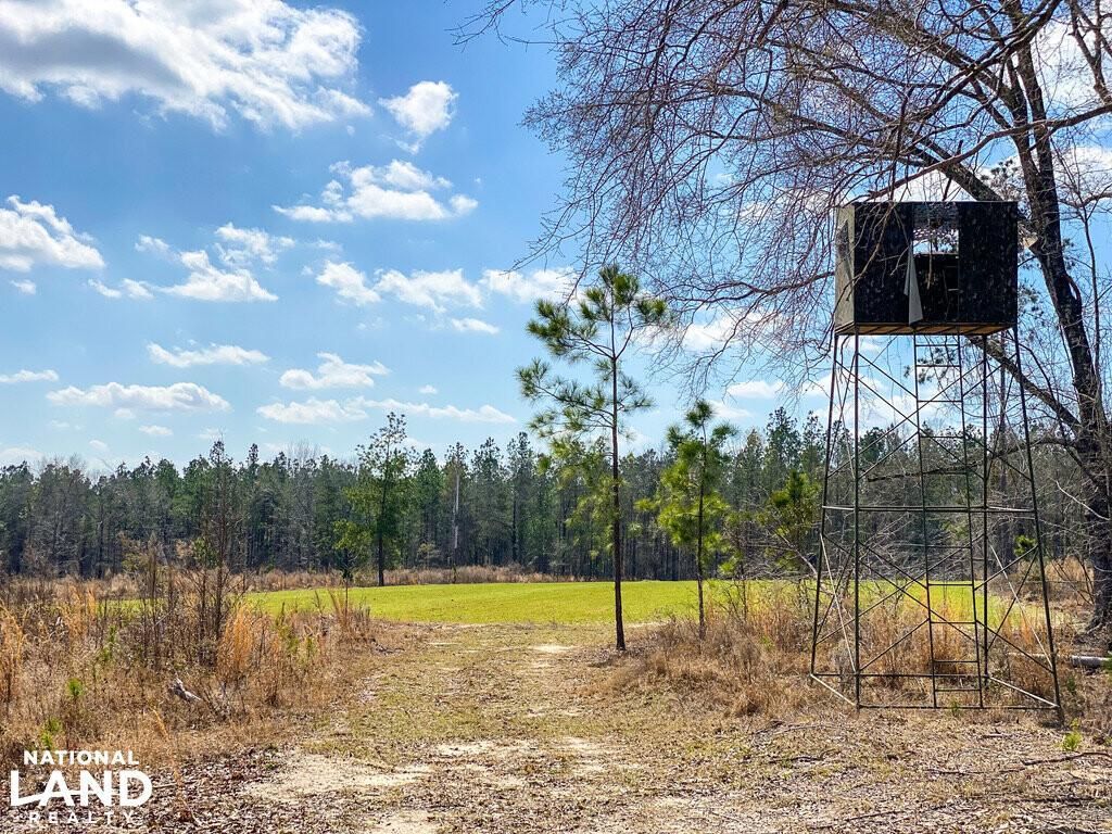 Eastman, Dodge County, GA Recreational Property, Hunting Property for
