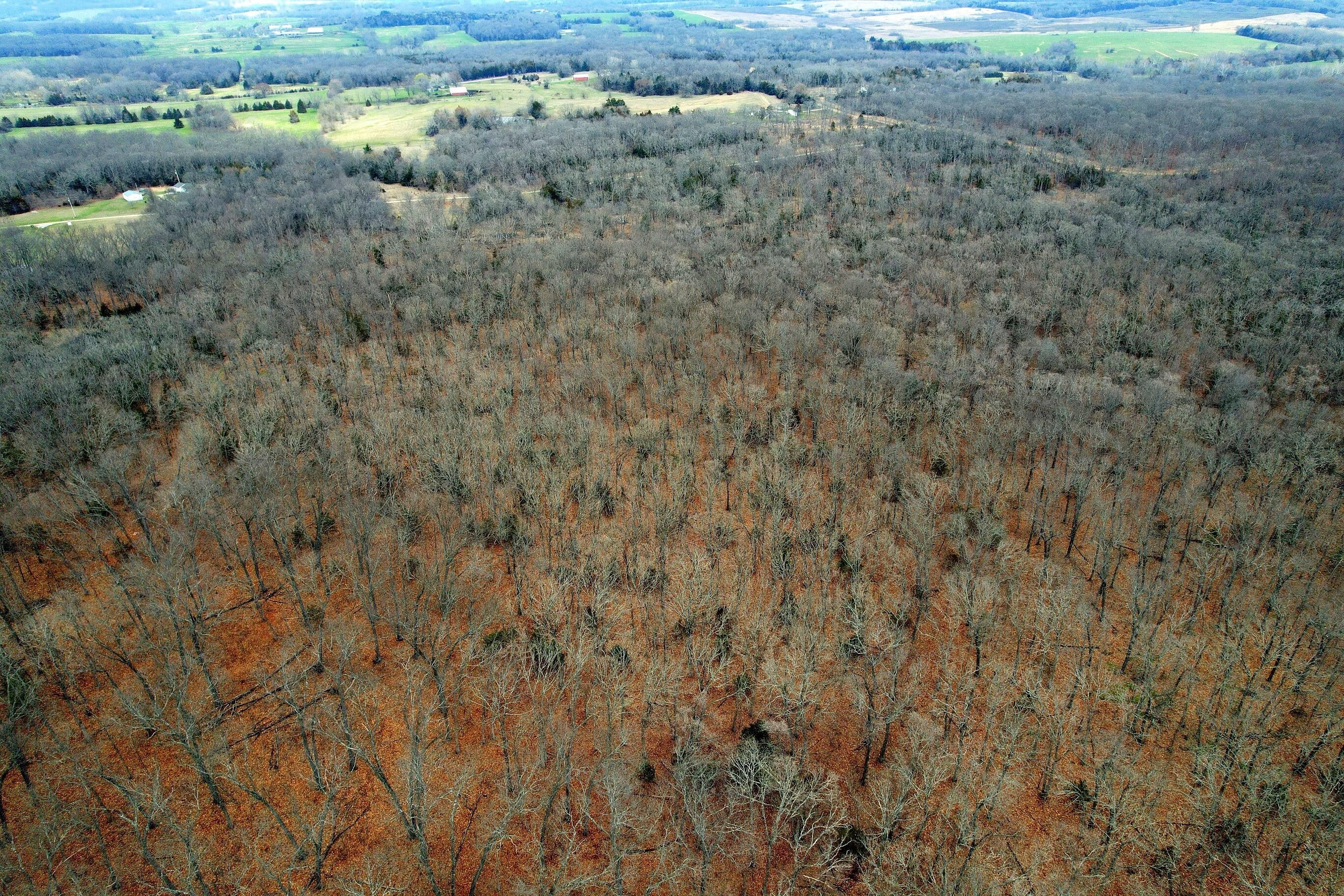 Humansville, Polk County, MO Farms and Ranches for sale Property ID 416007339 LandWatch