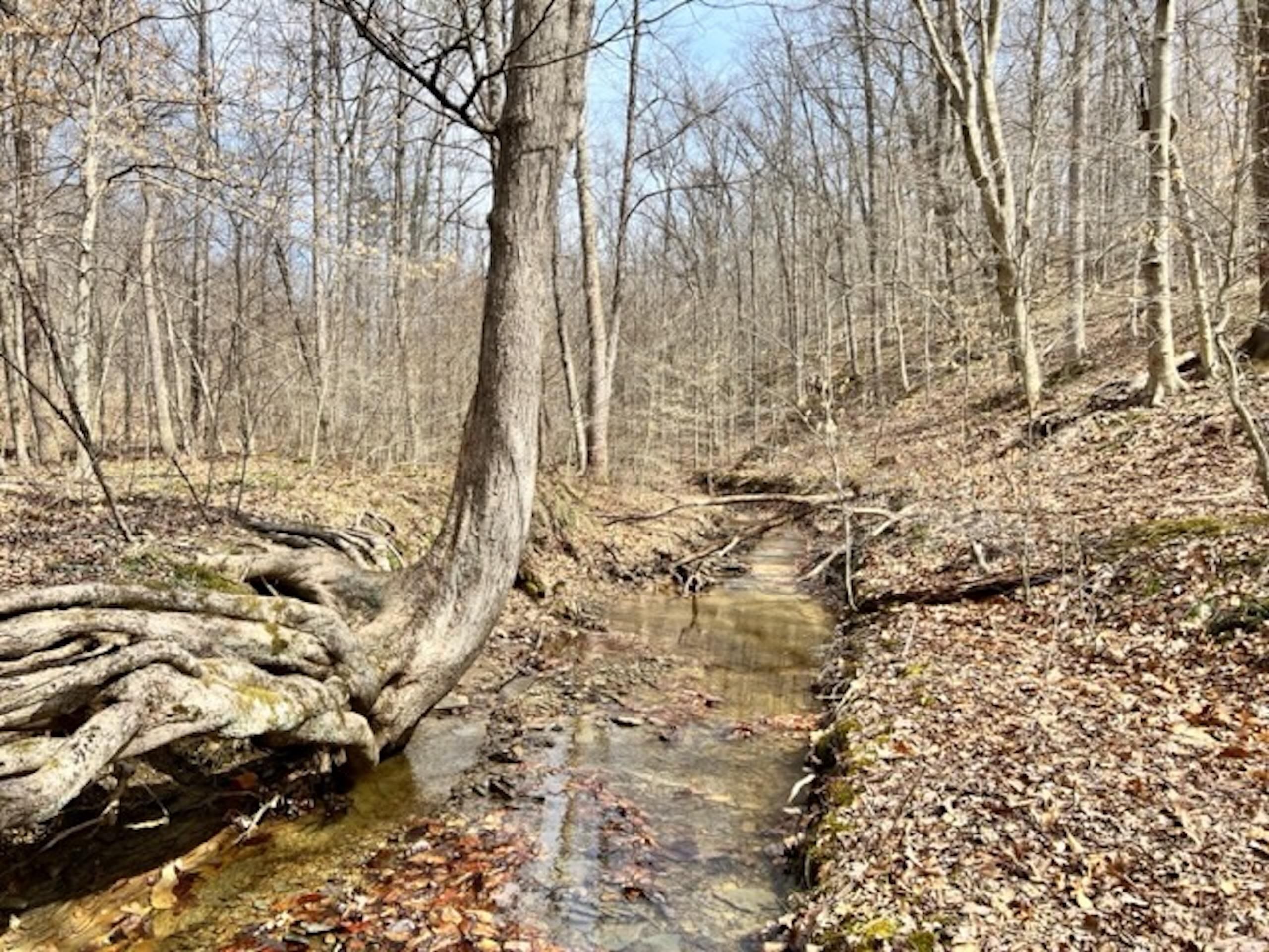 Nashville, Brown County, IN Recreational Property, Timberland Property