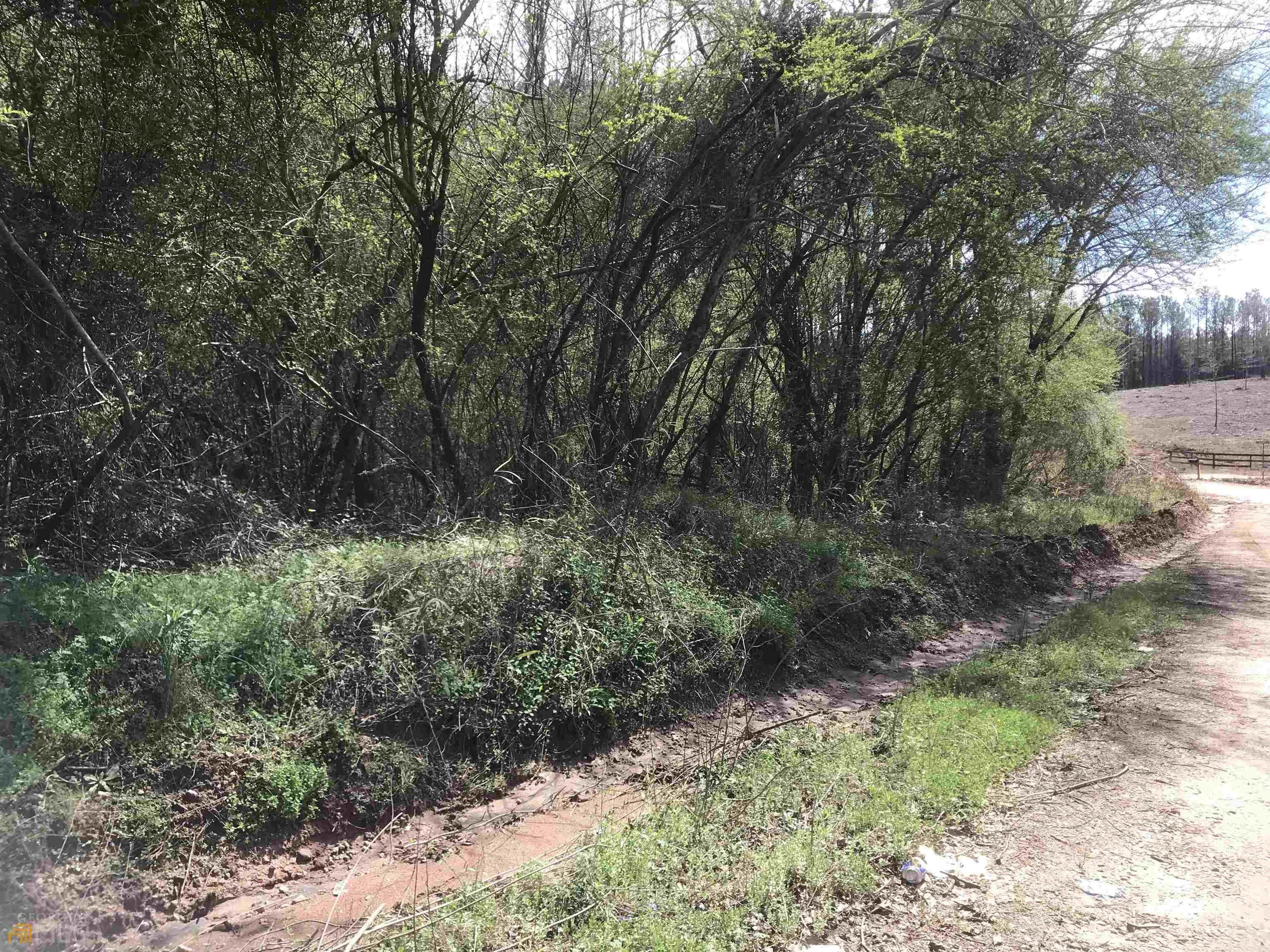 Greenville, Meriwether County, GA Farms and Ranches, Lakefront Property