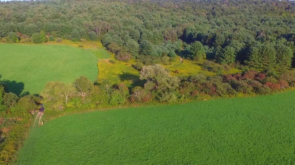 Edmeston, Otsego County, NY Undeveloped Land, Lakefront Property