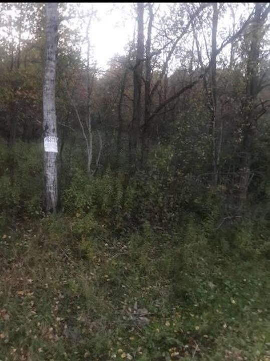 Sherburne, Chenango County, NY Undeveloped Land for sale Property ID
