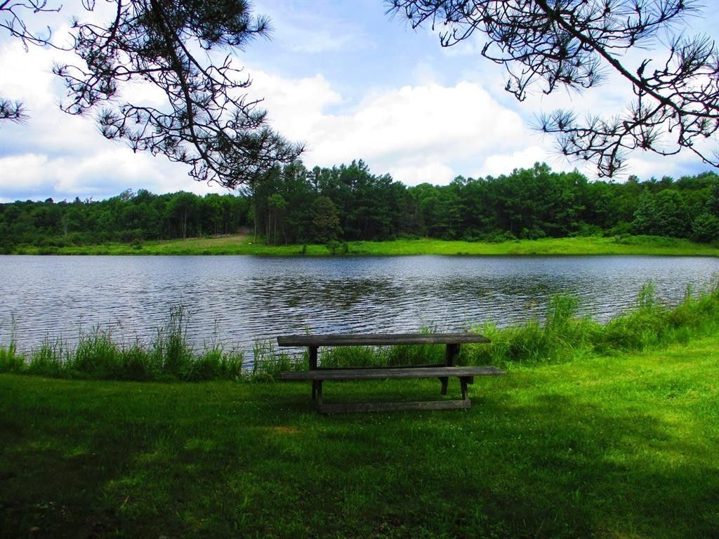 Worcester, Otsego County, NY Farms and Ranches for sale Property ID