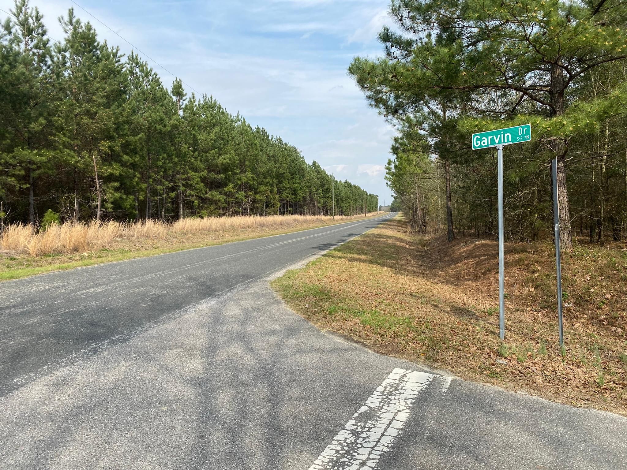 Wagener, Aiken County, SC Undeveloped Land for sale Property ID