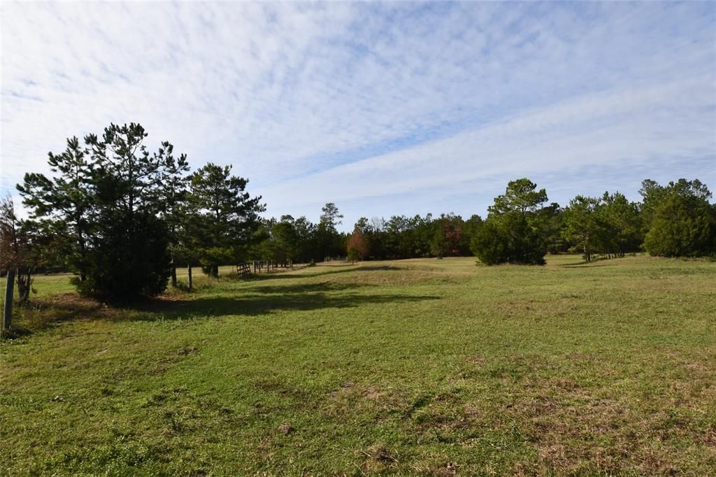 Cleveland, San Jacinto County, TX Recreational Property, Horse Property, House for sale Property