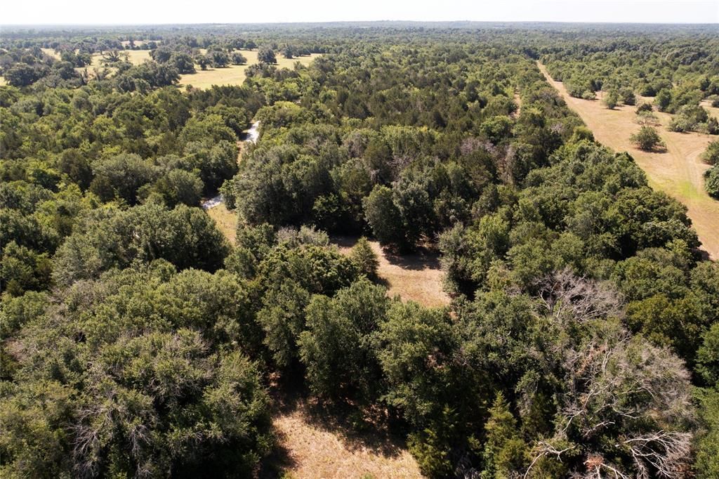 Kosse, Limestone County, TX Recreational Property, Horse Property