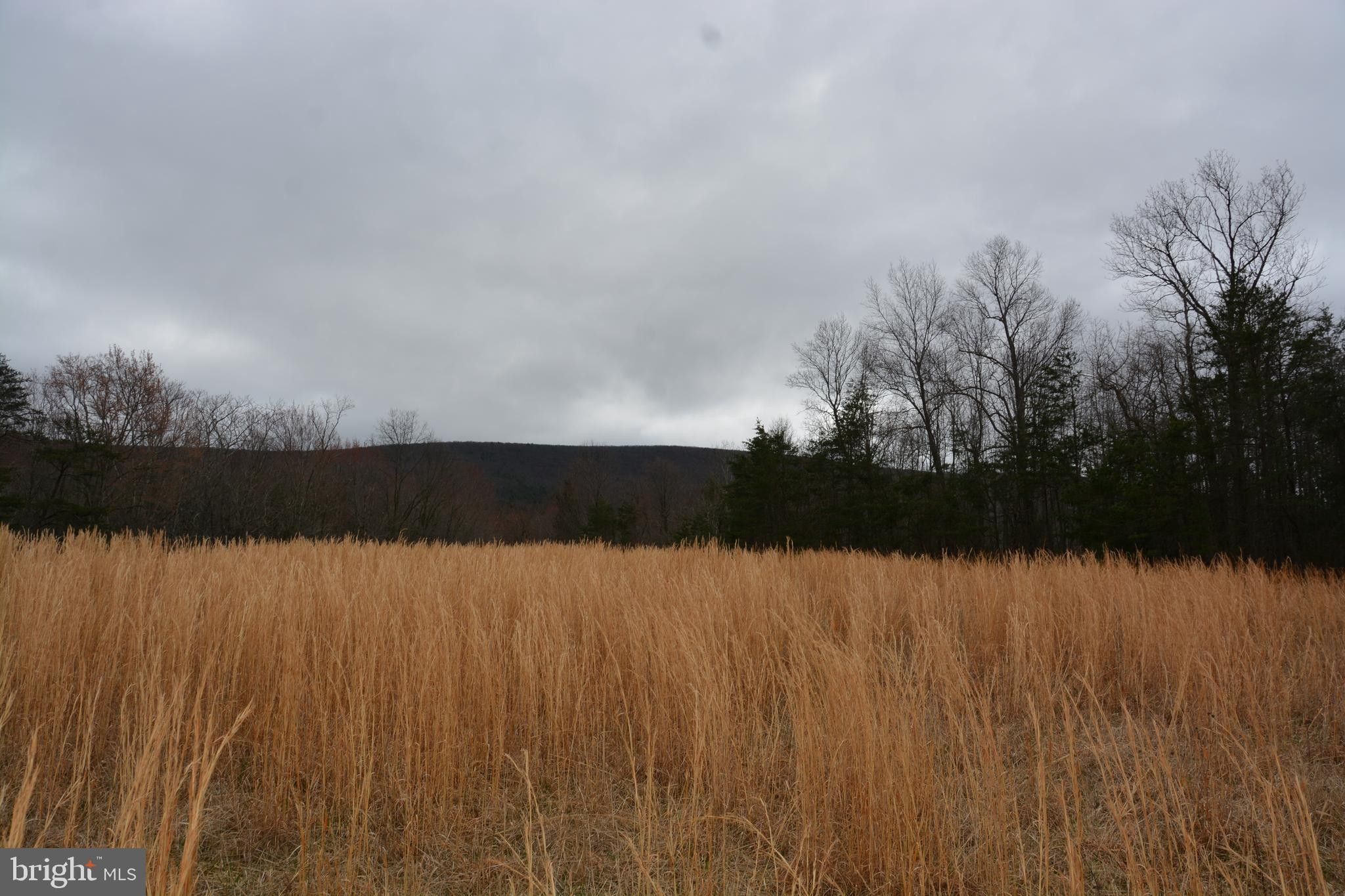 Yellow Spring, Hampshire County, WV Undeveloped Land for sale Property