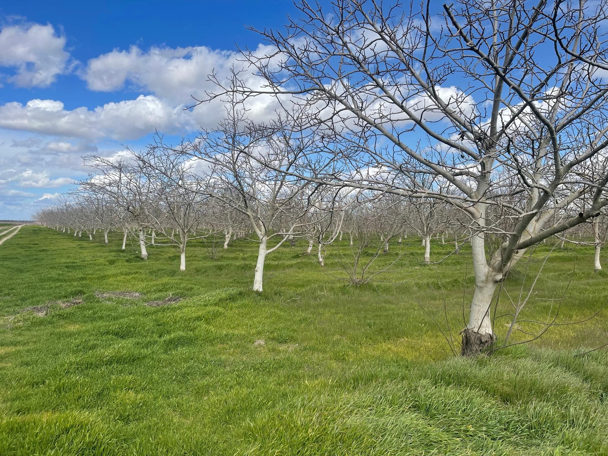 Riverdale, Fresno County, CA Farms and Ranches for sale Property ID