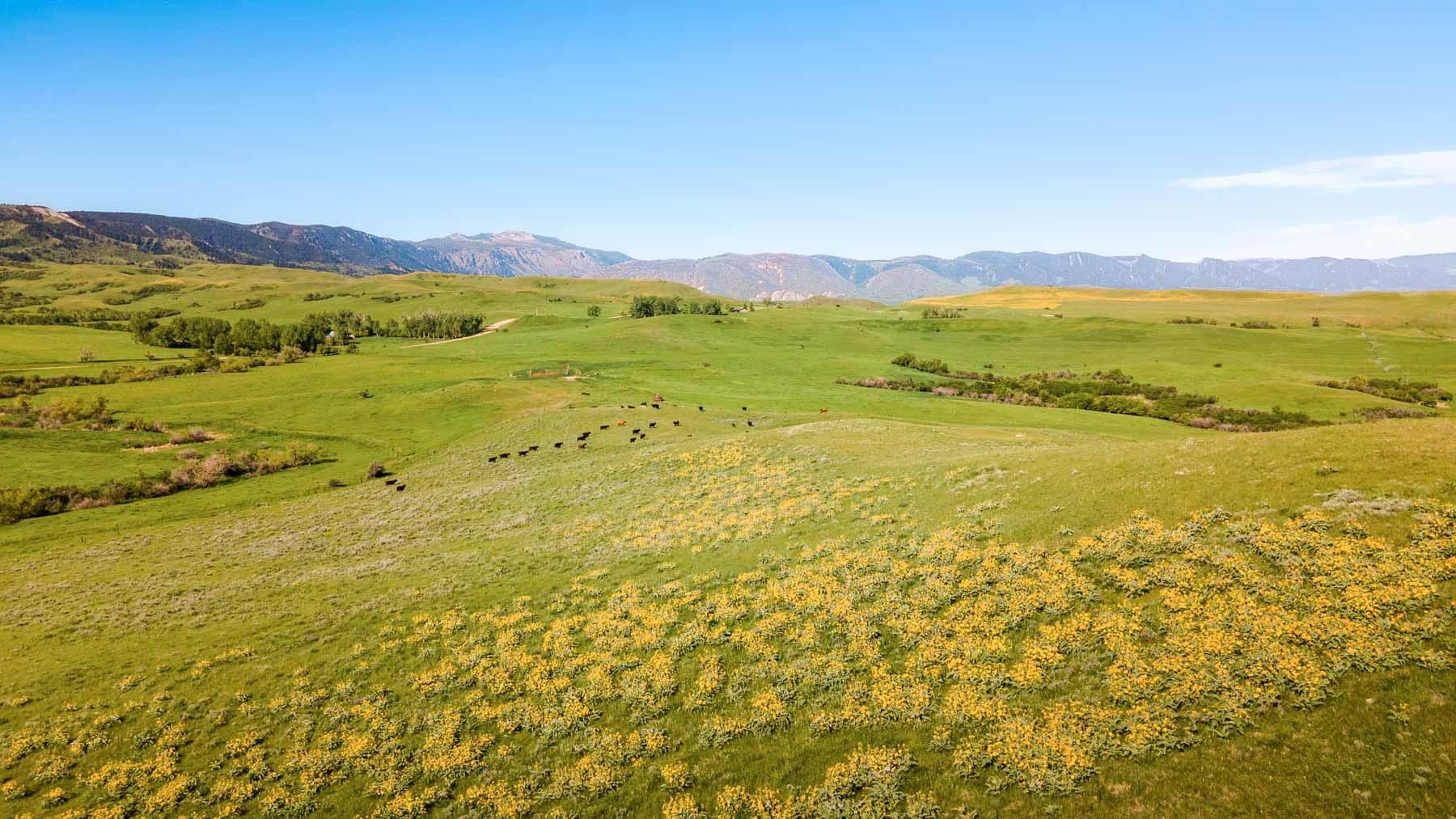 320 acres in Sheridan, WY, 82801 LandWatch