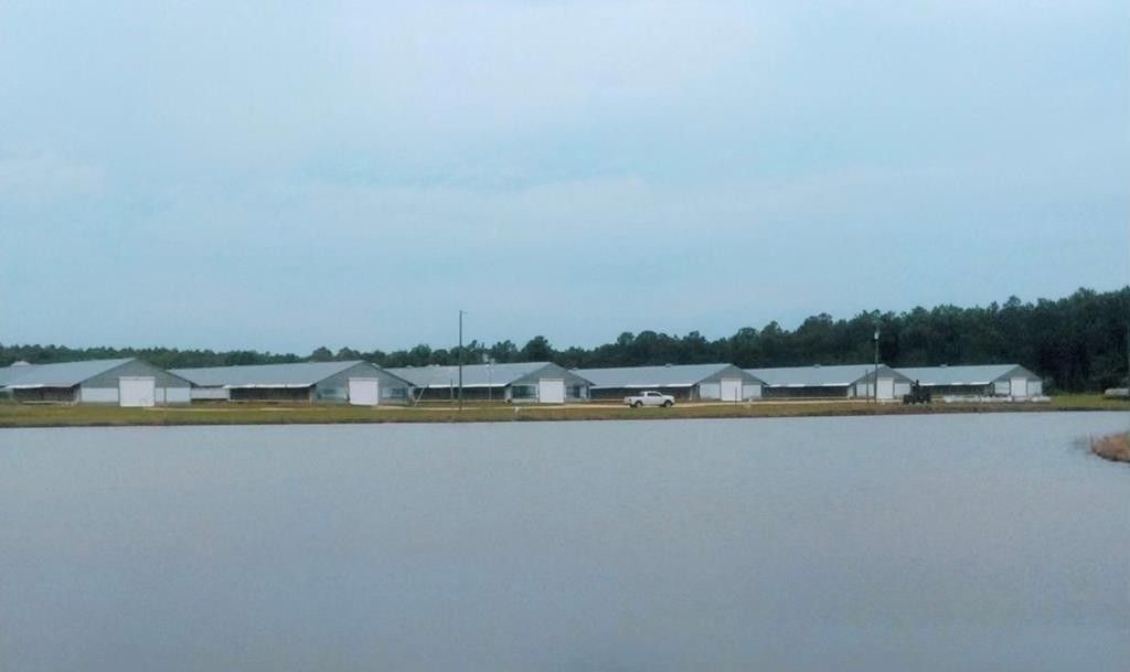 Broxton, Coffee County, GA Farms and Ranches for sale Property ID