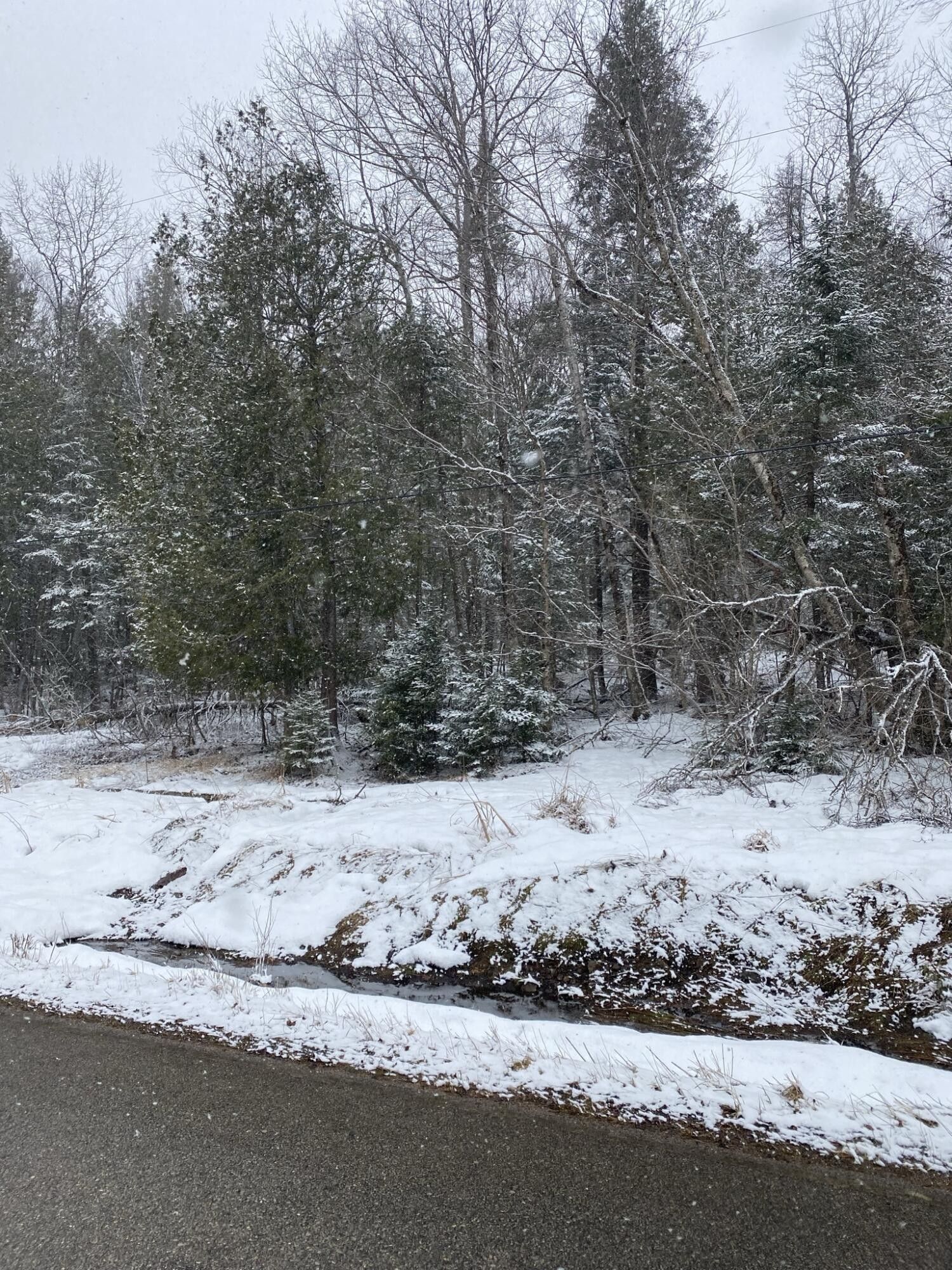 Sugar Island, Chippewa County, MI Farms and Ranches for sale Property