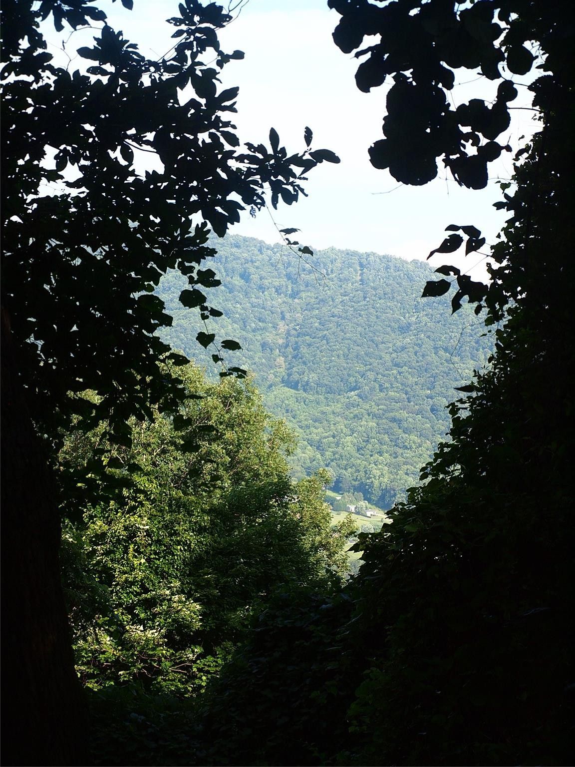 Canton, Haywood County, NC Undeveloped Land for sale Property ID 416013804 LandWatch