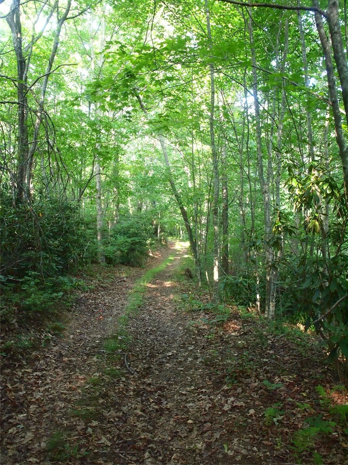 Canton, Haywood County, NC Farms and Ranches for sale Property ID