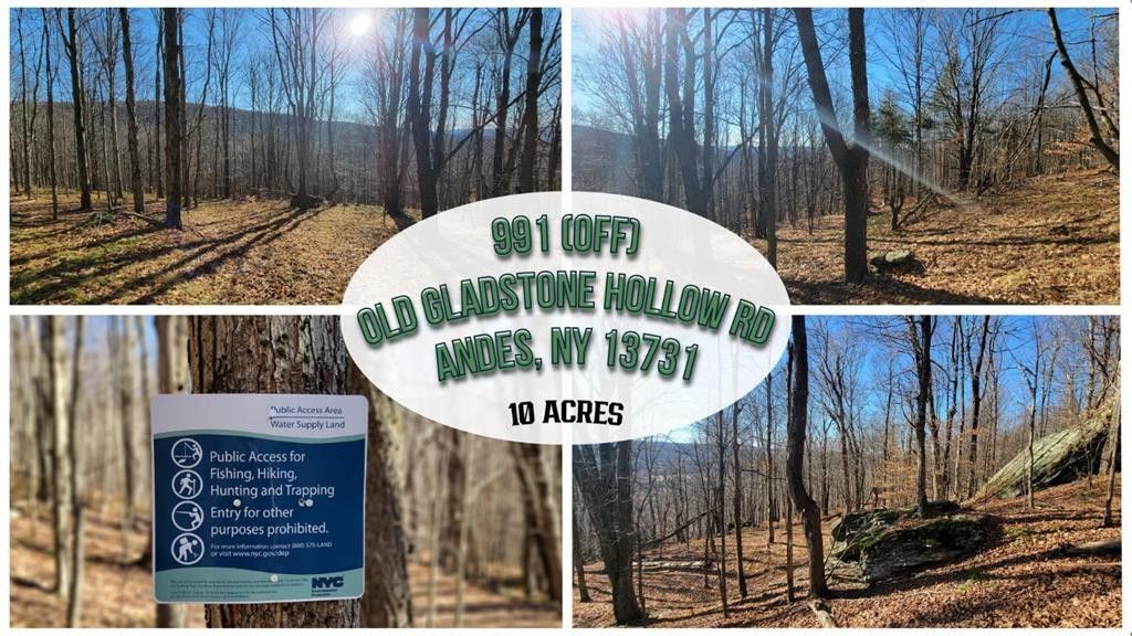 Andes, Delaware County, NY Undeveloped Land for sale Property ID
