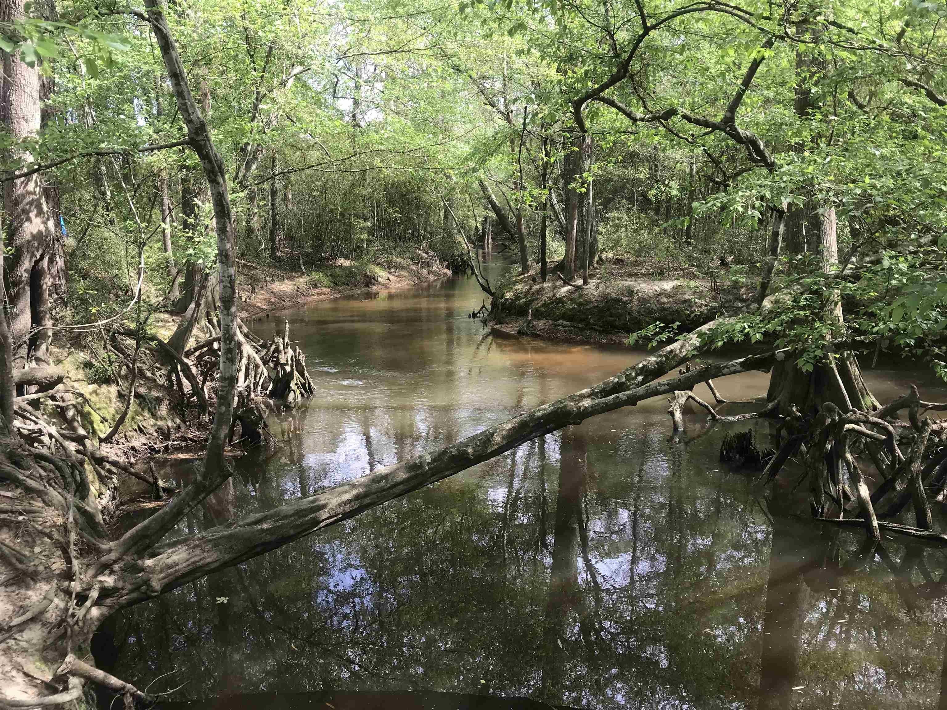 Jasper, Jasper County, TX Lakefront Property, Waterfront Property