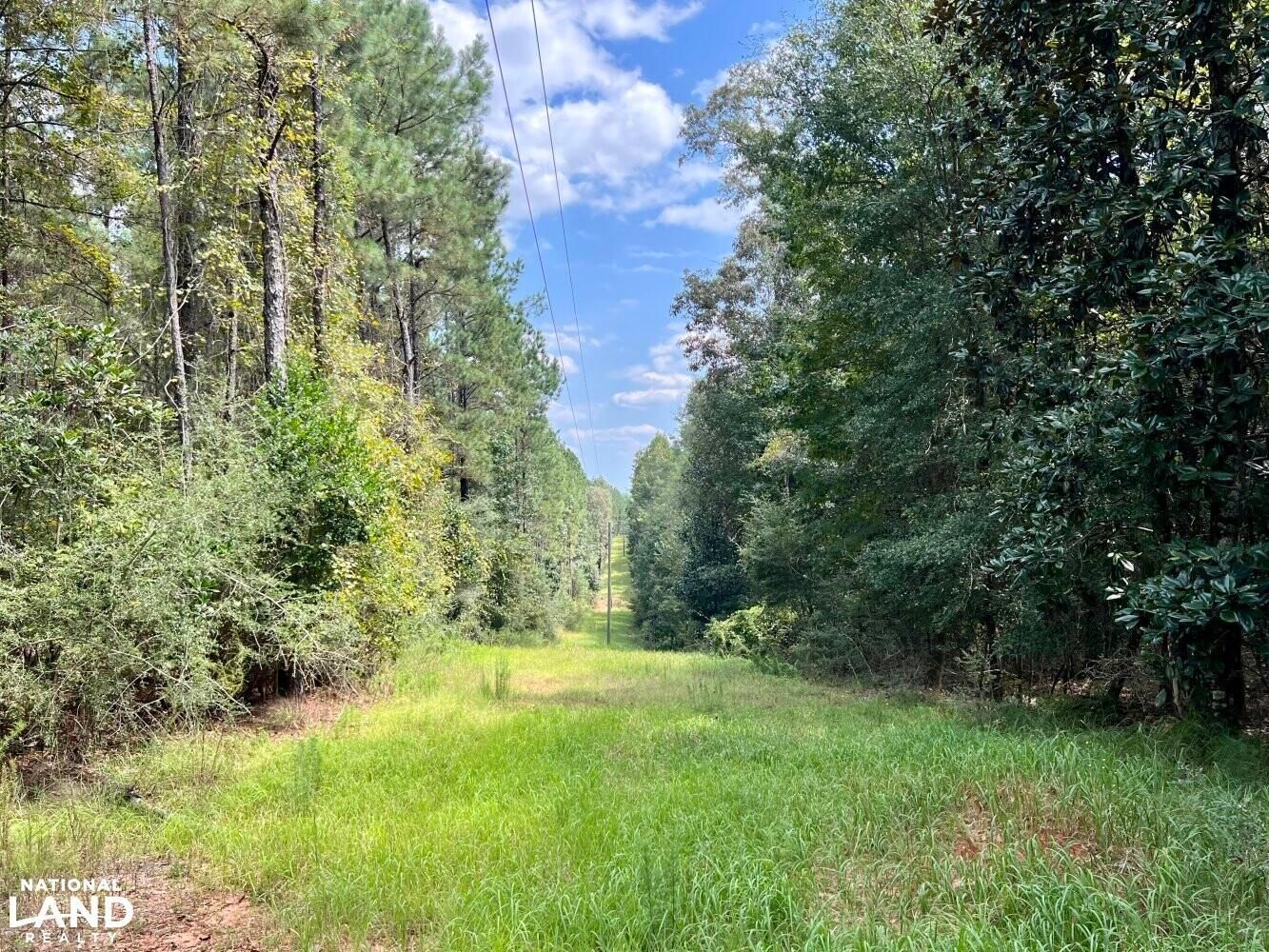 Citronelle, Mobile County, AL Recreational Property, Timberland