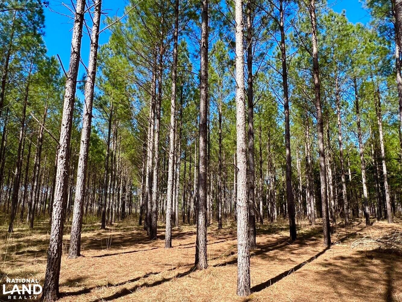 Abbeville, Abbeville County, SC Recreational Property, Undeveloped Land
