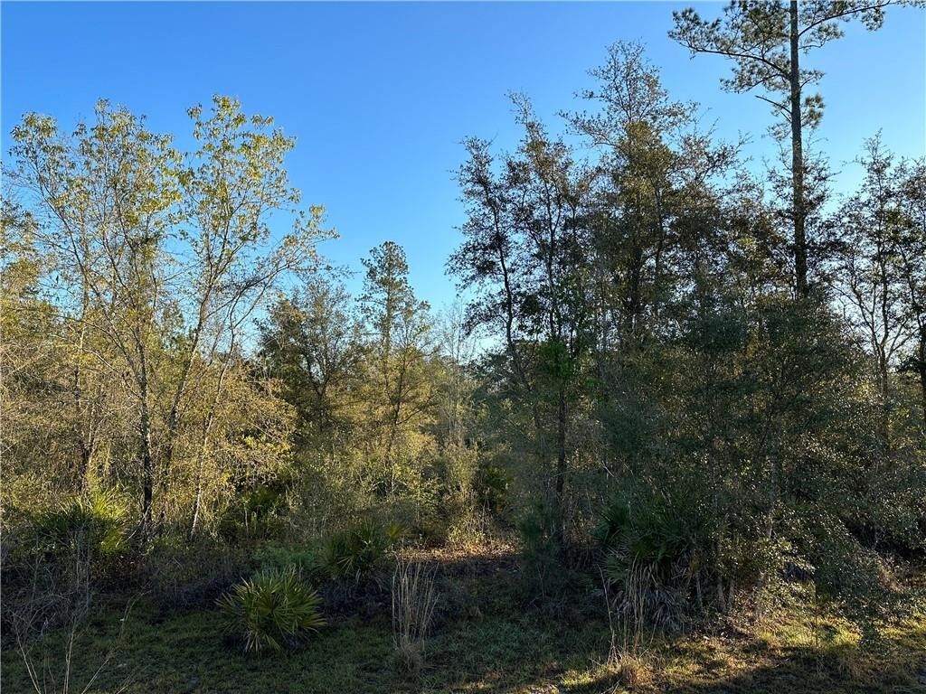 Waynesville, Brantley County, GA Undeveloped Land, Homesites for sale