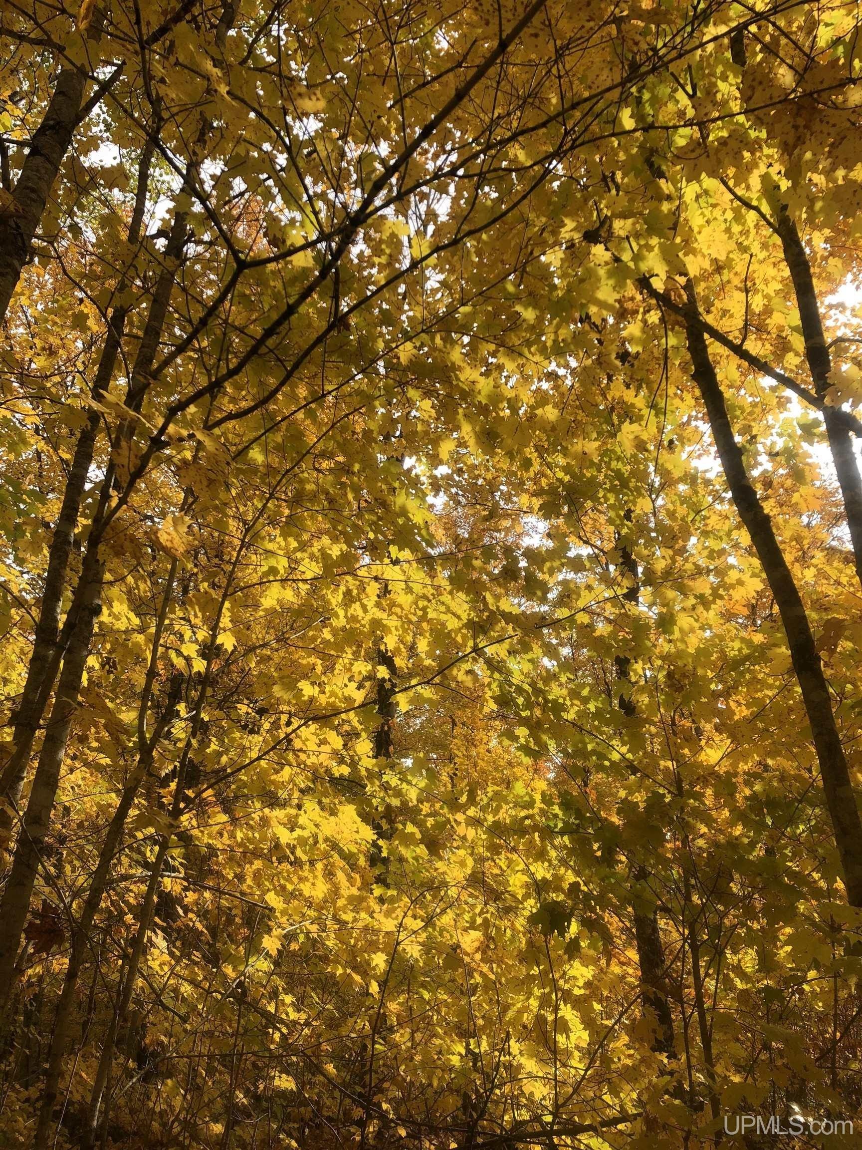 Skandia, Marquette County, MI Farms and Ranches for sale Property ID