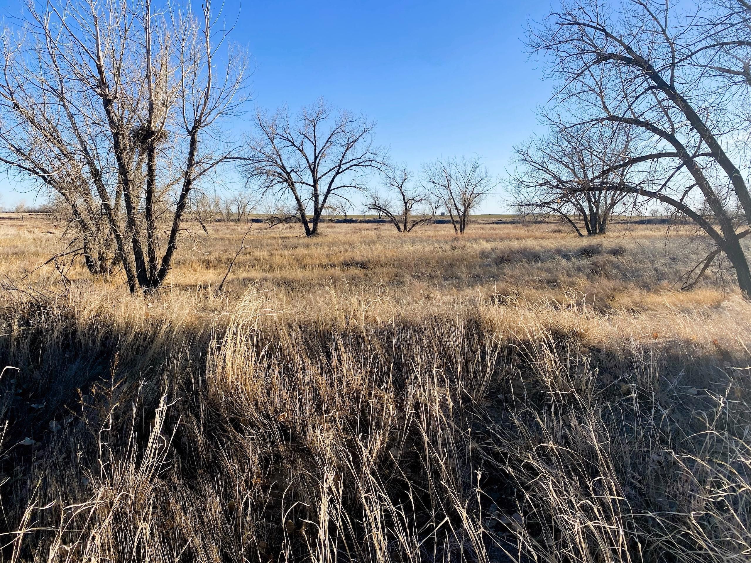 Wiggins, County, CO Farms and Ranches, Recreational Property for