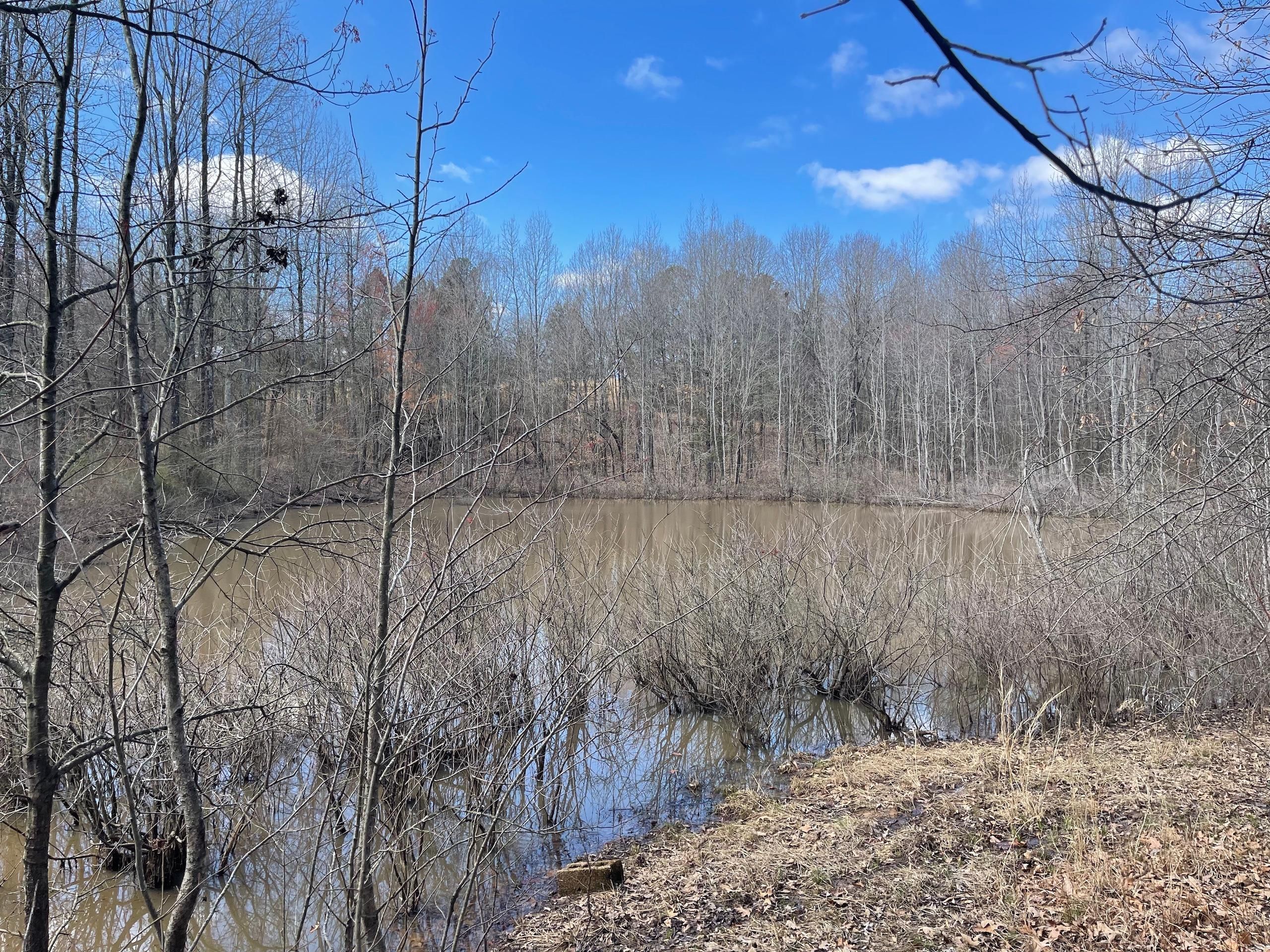 193 County Road 265, Boydsville, AR 72454 LandWatch