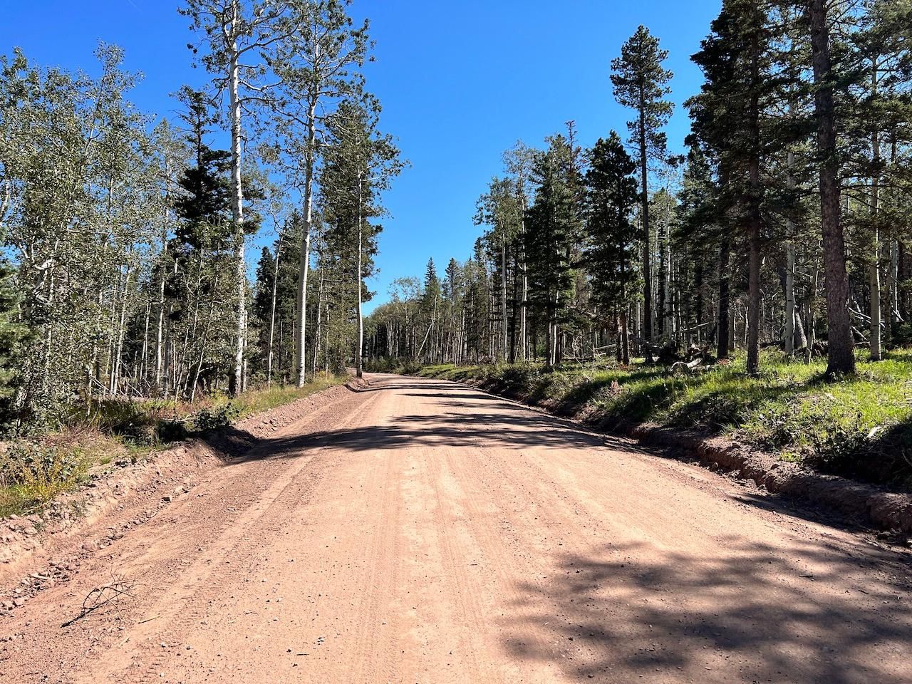 Fort Garland, Costilla County, CO Recreational Property, Timberland